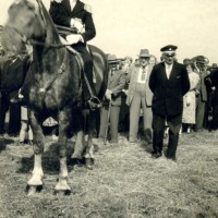 1955