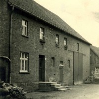 1953 - Grasebicke