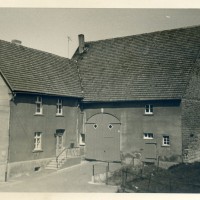 1967 - Grasebicke